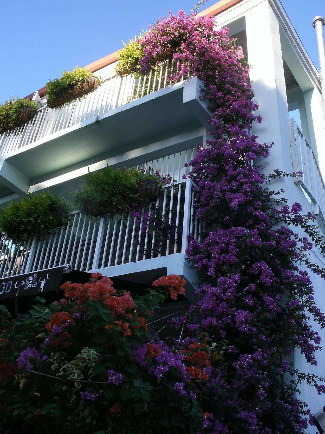 Cruz Bay Boutique Hotel Exterior foto